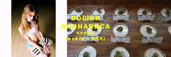 стафф Богданович