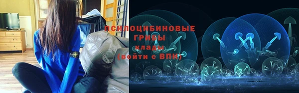 стафф Богданович