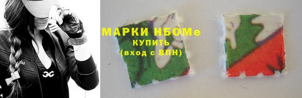 гидра Богородицк