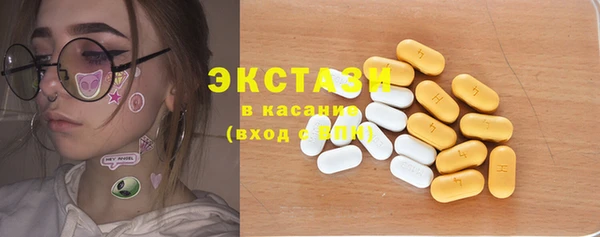 гидра Богородицк