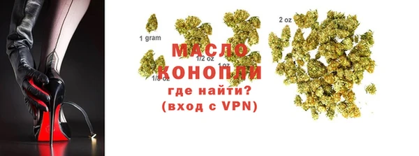 гидра Богородицк