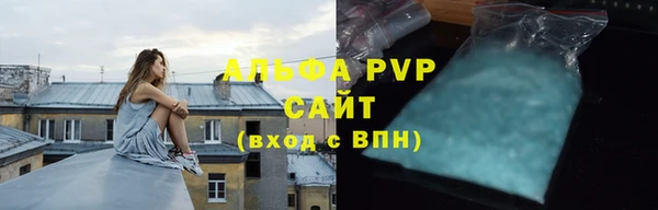 гидра Богородицк