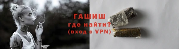 гидра Богородицк