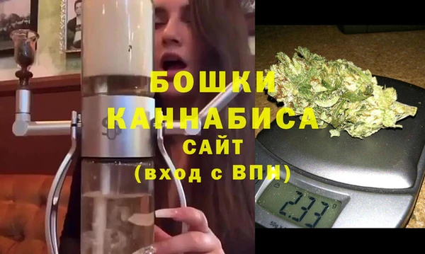 стафф Богданович