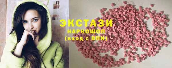 гидра Богородицк