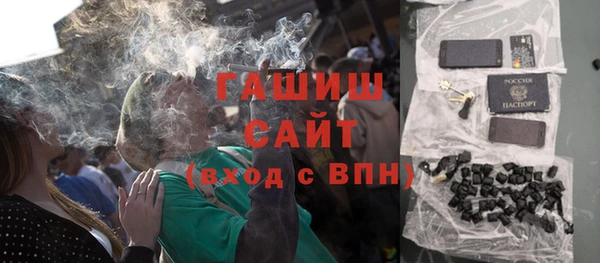 гидра Богородицк