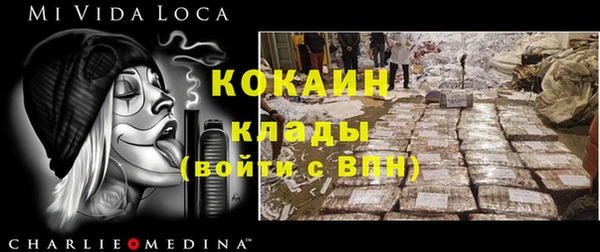 стафф Богданович