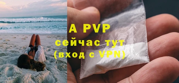 гидра Богородицк