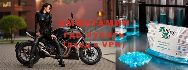 гидра Богородицк