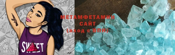 гидра Богородицк