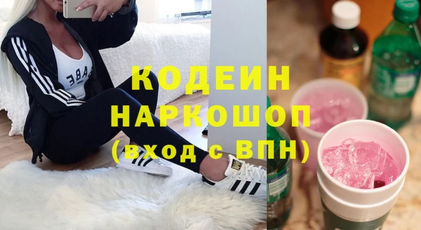 гидра Богородицк