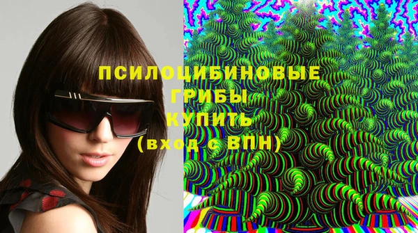 гидра Богородицк