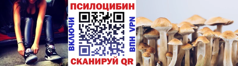 Псилоцибиновые грибы Cubensis  дарнет шоп  Среднеуральск 